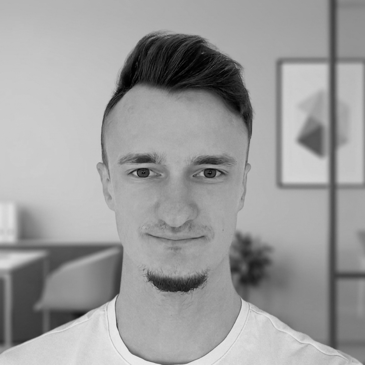 CognitionHub community member